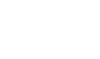 Orsus While Logo (1)-1